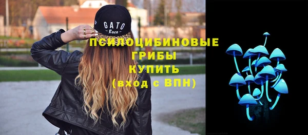 apvp Баксан
