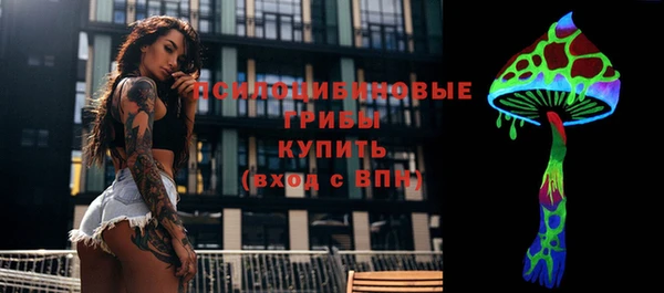 гашик Балабаново