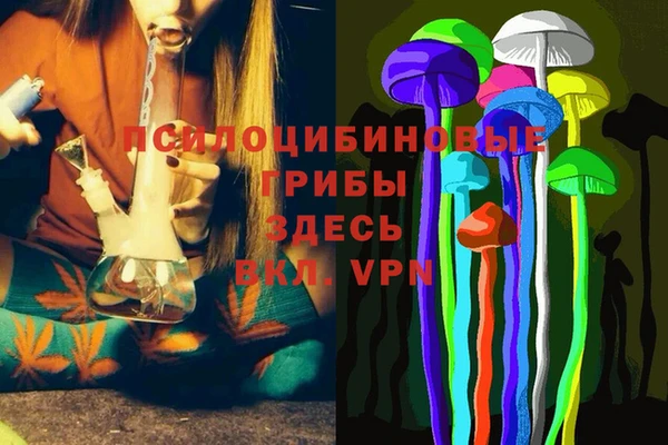 apvp Баксан
