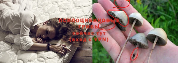 apvp Баксан