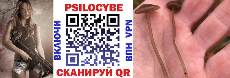Галлюциногенные грибы Psilocybine cubensis Суворов