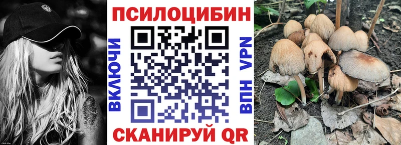 купить наркоту  мега как войти  Псилоцибиновые грибы Cubensis  Суворов 